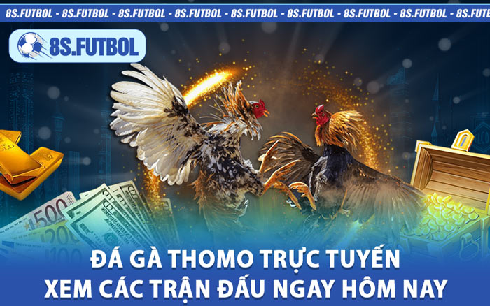 Đá Gà Thomo Trực Tuyến – Xem Các Trận Đấu Ngay Hôm Nay